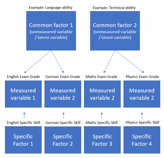 Schematic example of Common Factor Model